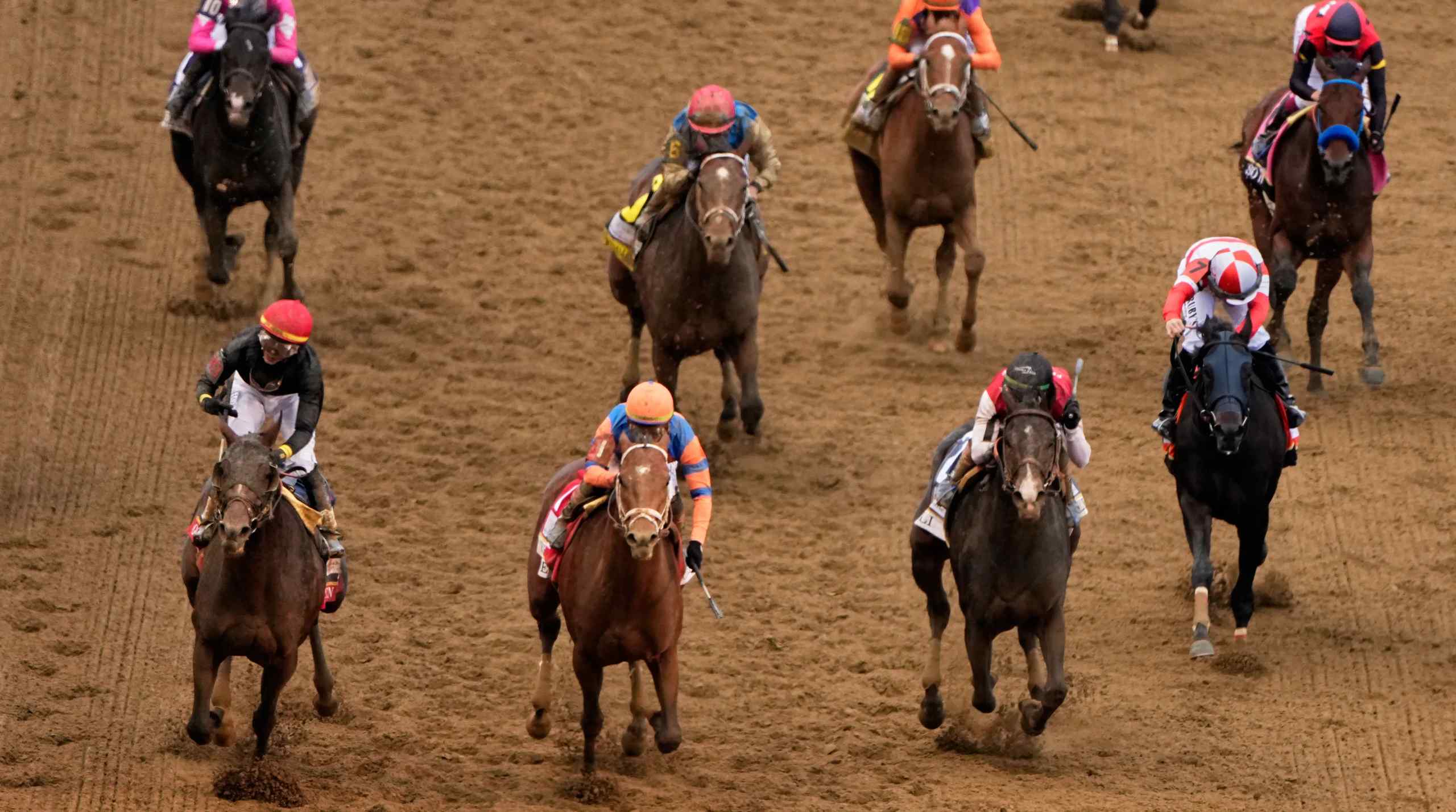 A close bunch of horses run down the track.